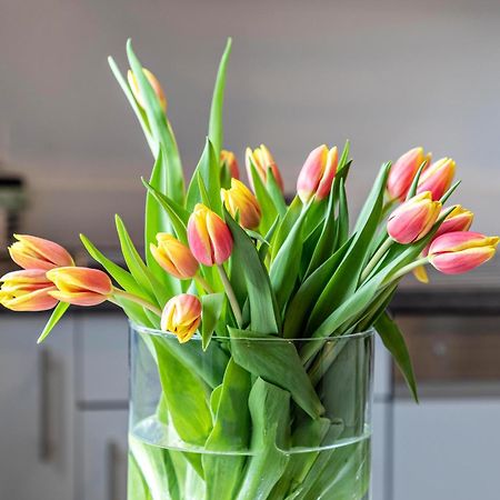 Ferienwohnung Am Weissgerber Muensingen Ngoại thất bức ảnh